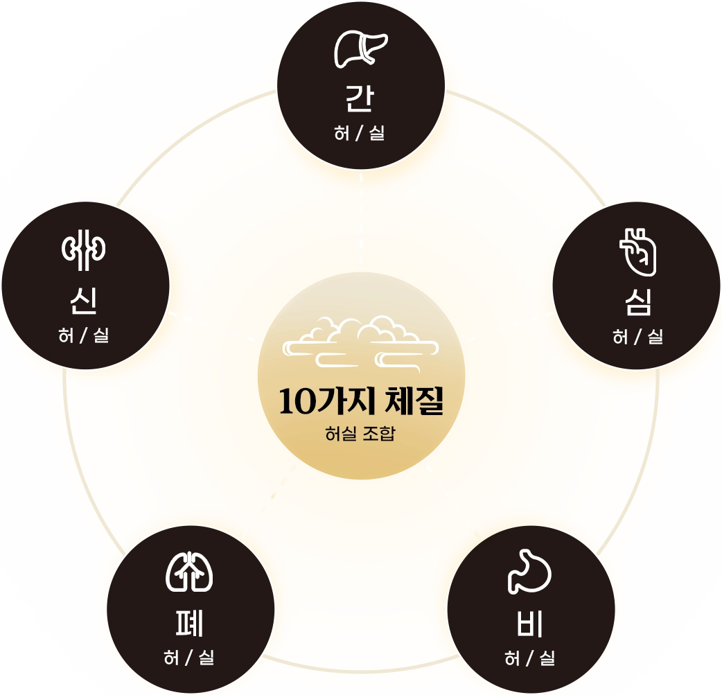 10가지 체질 허실 조합 다이어그램